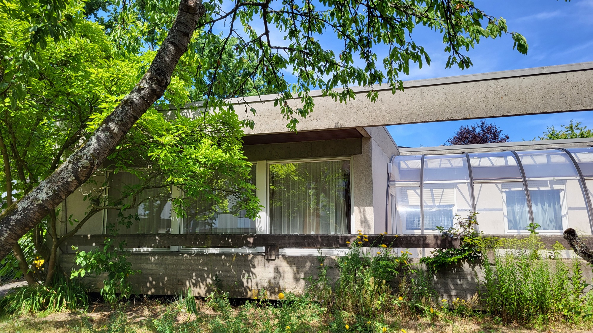 Ein einstöckiges Haus mit großer Glasfront, umgeben von grünem Garten und Bäumen.